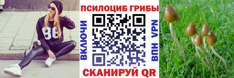 Псилоцибиновые грибы MAGIC MUSHROOMS  Петровск 