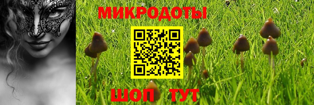 Галлюциногенные грибы MAGIC MUSHROOMS Петровск